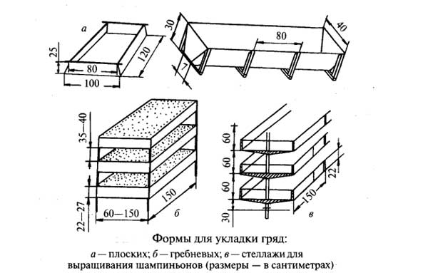 formy dlya ukladki gryad pri vyrashivanii shampinonov - Технология выращивания шампиньонов в домашних условиях