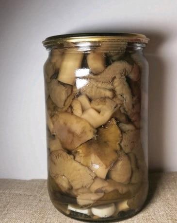 kak gotovit griby serushki na zimu 603a0e163175a - Как готовить грибы серушки на зиму?