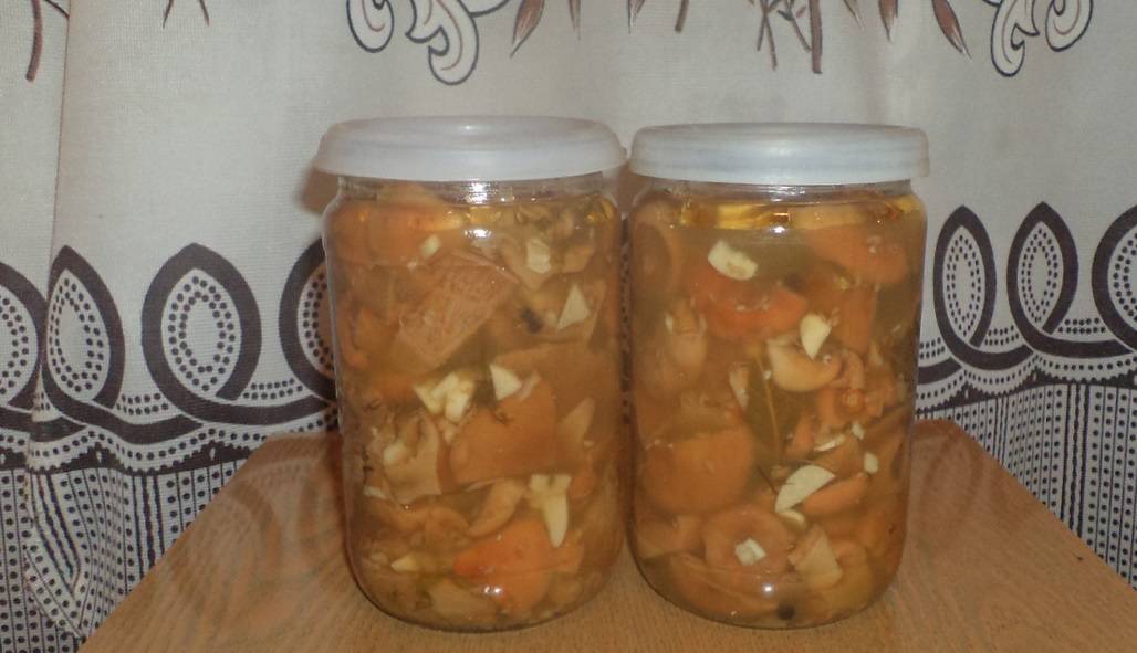 kak prigotovit samye vkusnye griby ryzhiki na zimu 603a0bfb606d8 - Как приготовить самые вкусные грибы рыжики на зиму?