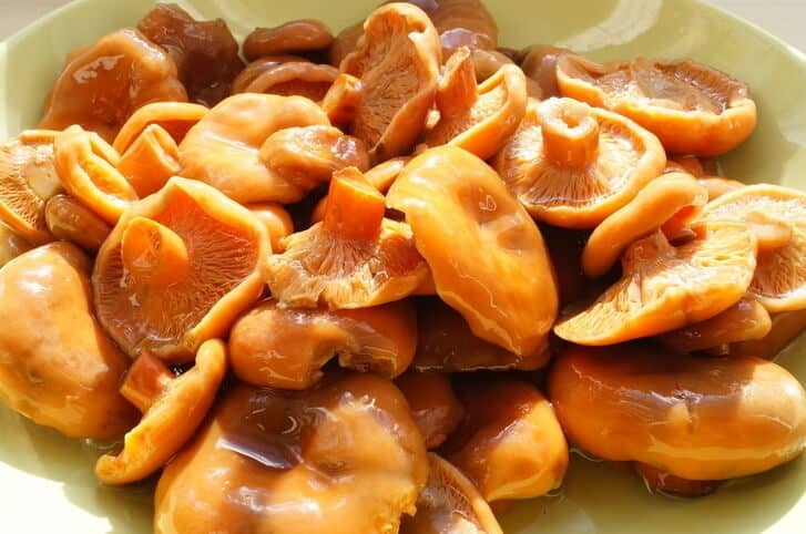 kak prigotovit samye vkusnye griby ryzhiki na zimu 603a0bfcb6400 - Как приготовить самые вкусные грибы рыжики на зиму?
