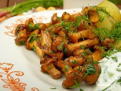 kak prigotovit samye vkusnye zharennye griby ryzhiki 603a0df2eb1d4 - Как приготовить самые вкусные жаренные грибы рыжики