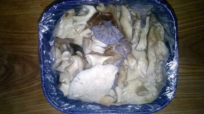 kak vkusno prigotovit griby sinenozhki na zimu samye luchshie recepty 603a0c06d3d99 - Как вкусно приготовить грибы синеножки на зиму? Самые лучшие рецепты!