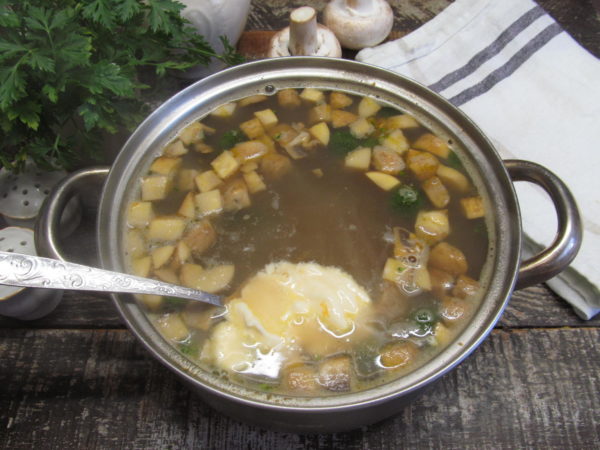 kurinyj sup s fasolju gribami i brokkoli 603a244981d09 - Куриный суп с фасолью грибами и брокколи