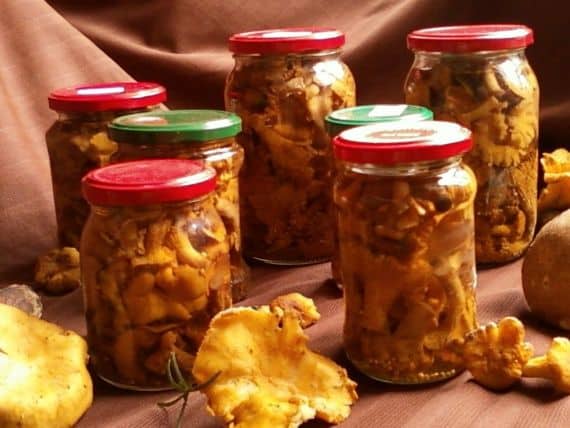 samye vkusnye recepty s gribami lisichkami 603a0be744be7 - Самые вкусные рецепты с грибами лисичками