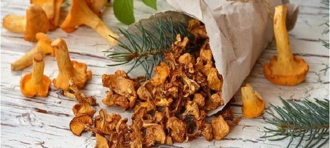 udivitelnye recepty prigotovleniya suhih gribov lisichek 603a0ed1e5062 - Удивительные рецепты приготовления сухих грибов лисичек